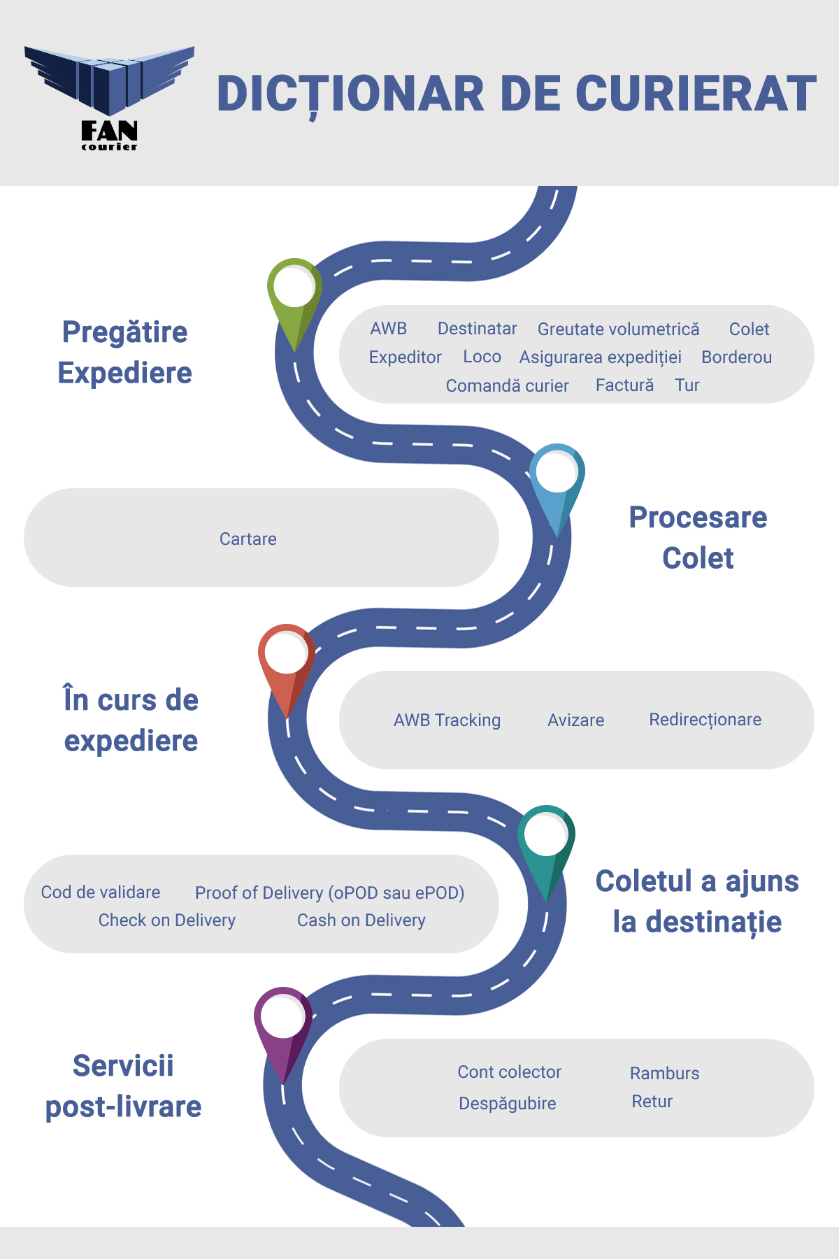 infografic-fan-2